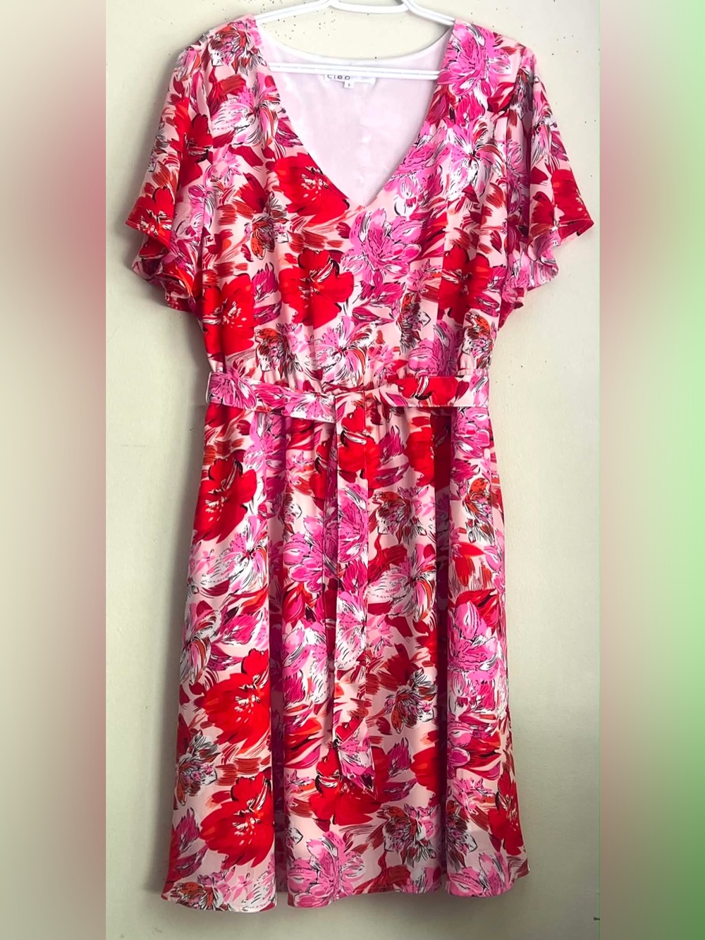 cleo Pink & Red Floral Dress with Waist Tie